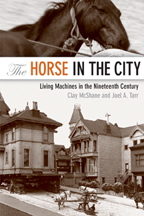 Horse in the City book cover